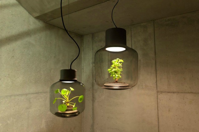Queste lampade fanno crescere le piante ovunque, anche in spazi senza finestre