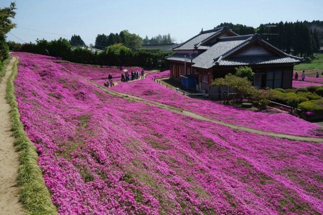 È il giardino più romantico al mondo e quando ne leggerete la storia capirete il perché