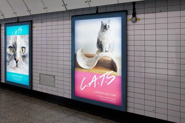 C.A.T.S.: gatti al posto dei cartelloni pubblicitari nella metropolitana di Londra