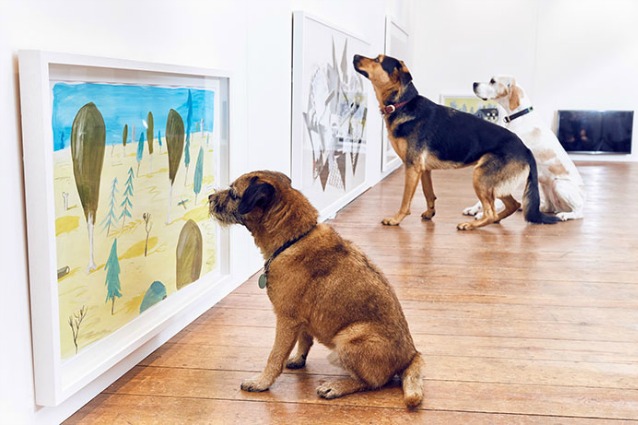 Play More: ecco la prima mostra d'arte al mondo solo per cani