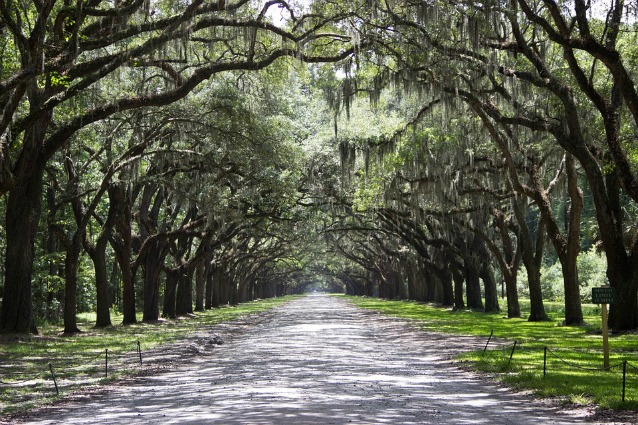 Savannah: la città più infestata degli Stati Uniti d'America