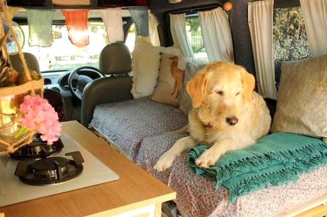 Ristruttura un vecchio furgone per viaggiare in tutto il mondo con il suo cane