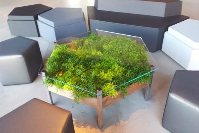 Living table: il tavolo vivente per avere sempre l'orto in casa