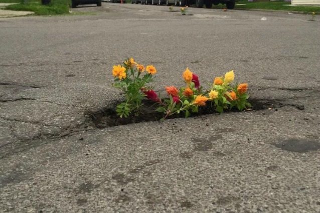 Fiori al posto delle buche: ecco come si riparano le strade nel mondo