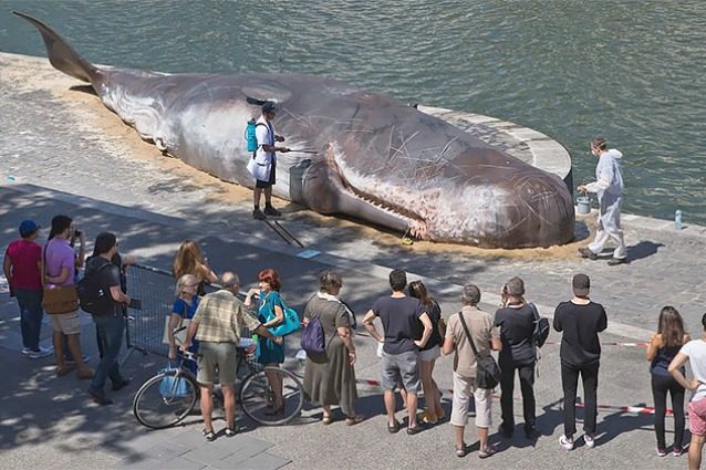 Parigi, una balena arenata sulle rive della Senna: l'opera d'arte che commuove