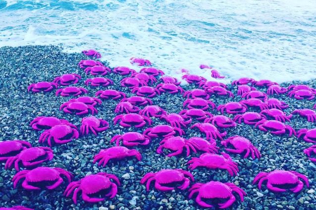 I granchi di Cracking Art invadono l’Isola D’Elba: l’opera per salvare il cinema di Cavo