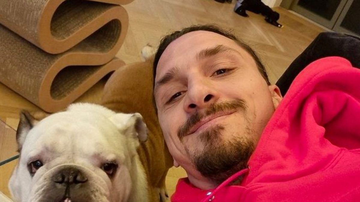 Zlatan Ibrahimovic nel suo appartamento milanese con alle spalle la sedia Wiggle Side di Vitra