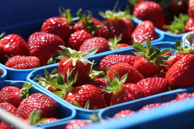 La frutta e la verdura che fanno bene al cervello (FOTO)