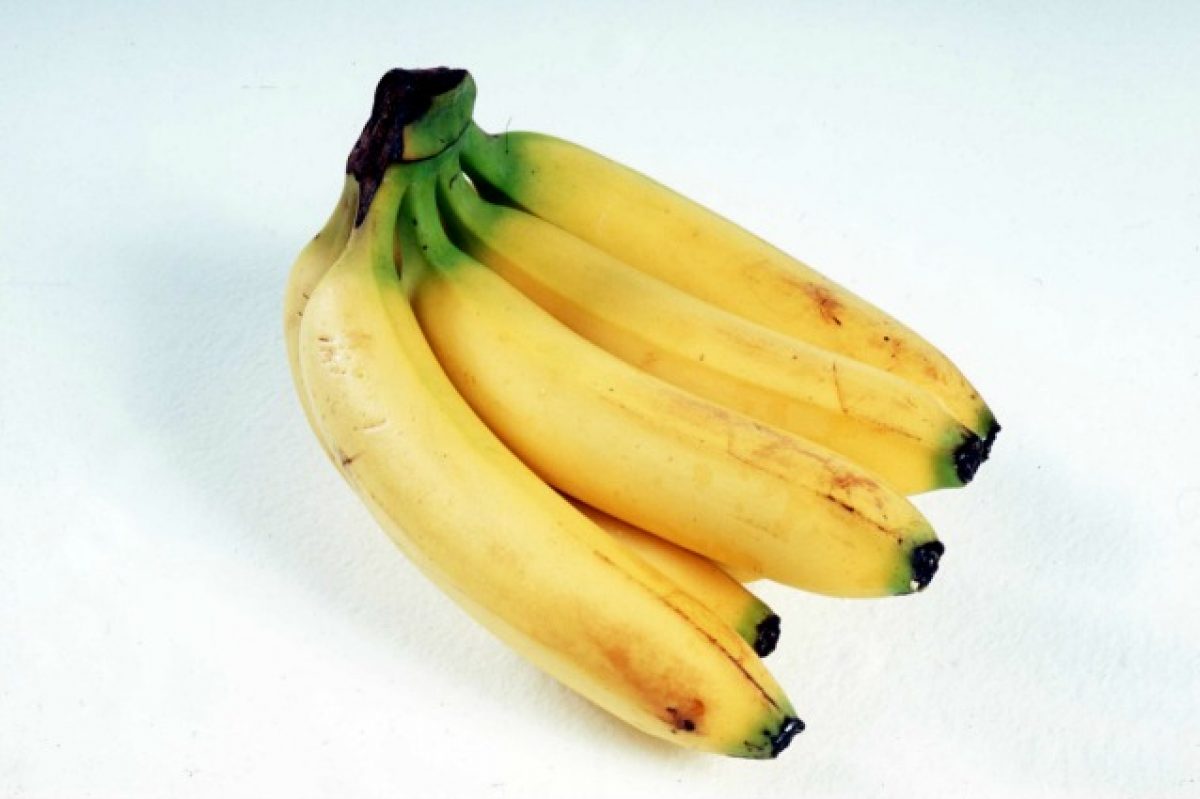 risultati di perdita di peso dieta banana risultati di perdita di peso dieta banana
