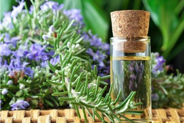 Come eliminare le tarme dai vestiti: rimedi naturali e trucchi ... Come combattere le tarme