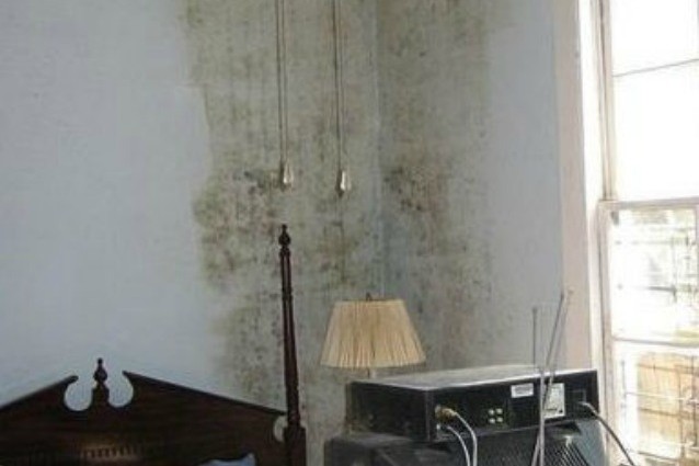 Togliere La Muffa Dai Muri Colorati