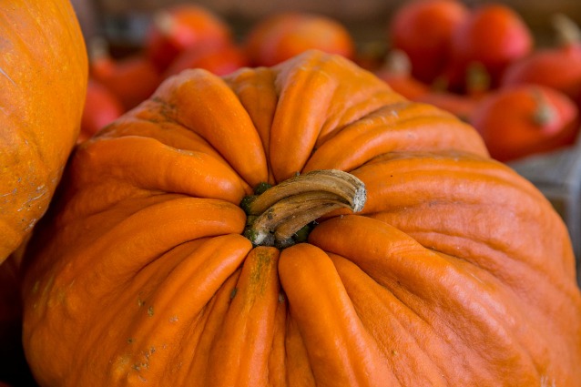 Zucca: proprietà, benefici e ricette