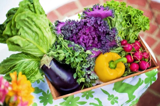 10 alimenti con poche calorie per bruciare i grassi e sgonfiare la pancia