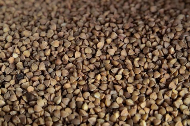 Grano saraceno: proprietà benefiche, nutrizionali e controindicazioni