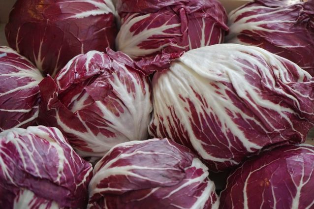 Radicchio: proprietà nutritive, benefici e utilizzi