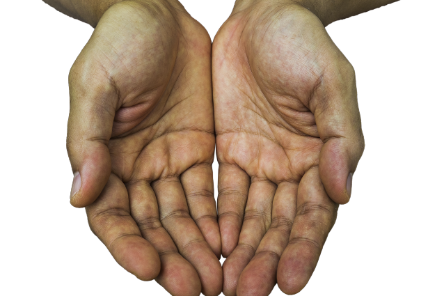 Linee delle mani allineate: ecco cosa rivelano sulla tua personalità