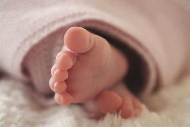 Neonato sepolto vivo, il cane fiuta il suo odore e gli salva la vita