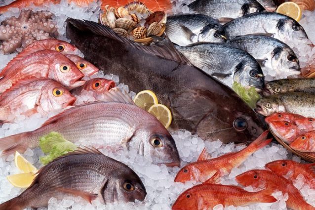Come capire se il pesce è fresco: le regole per riconoscere quello migliore