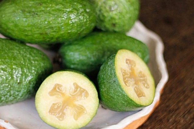Feijoa: tutte le proprietà del piccolo frutto ricco di virtù benefiche