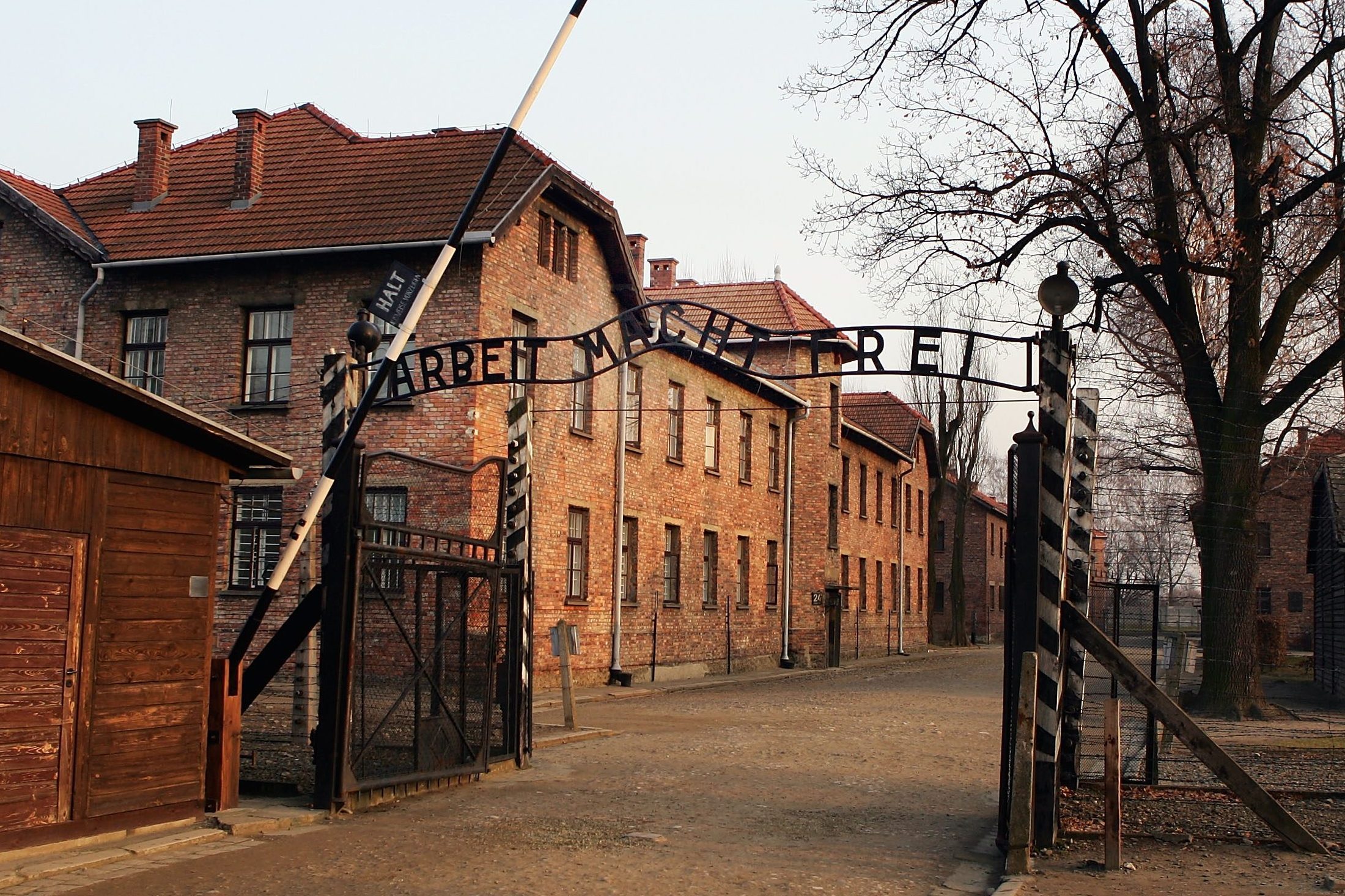 Giornata della memoria la prima volta Auschwitz aprì le sue porte a 999 donne, numero non casuale Giornata della memoria la prima volta Auschwitz aprì le sue porte a 999 donne, numero non casuale