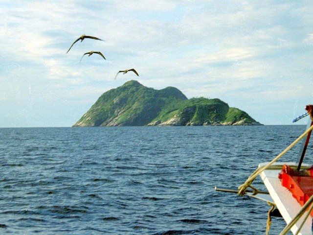 Ilha da Queimada Grande