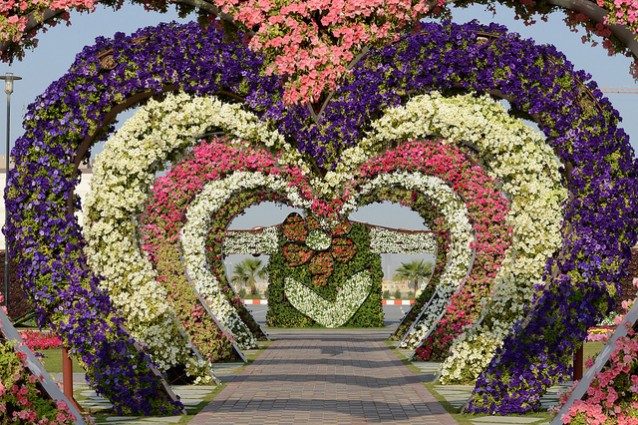 Miracle Garden, un'oasi fiorita nel deserto di Dubai