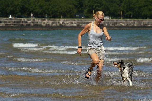 La regione Sicilia sempre più dog friendly.