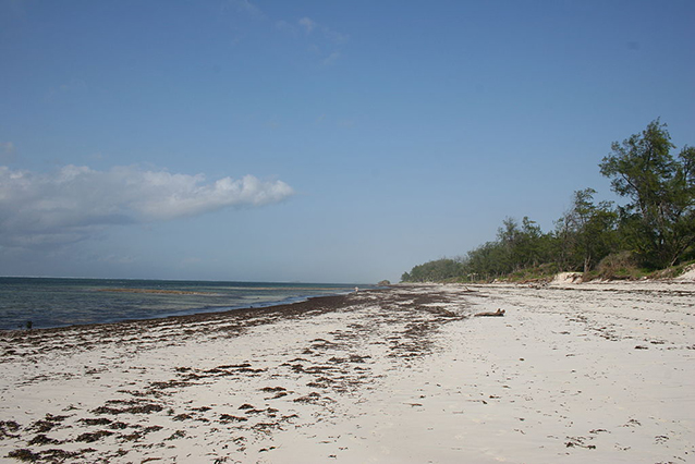 watamu kenya