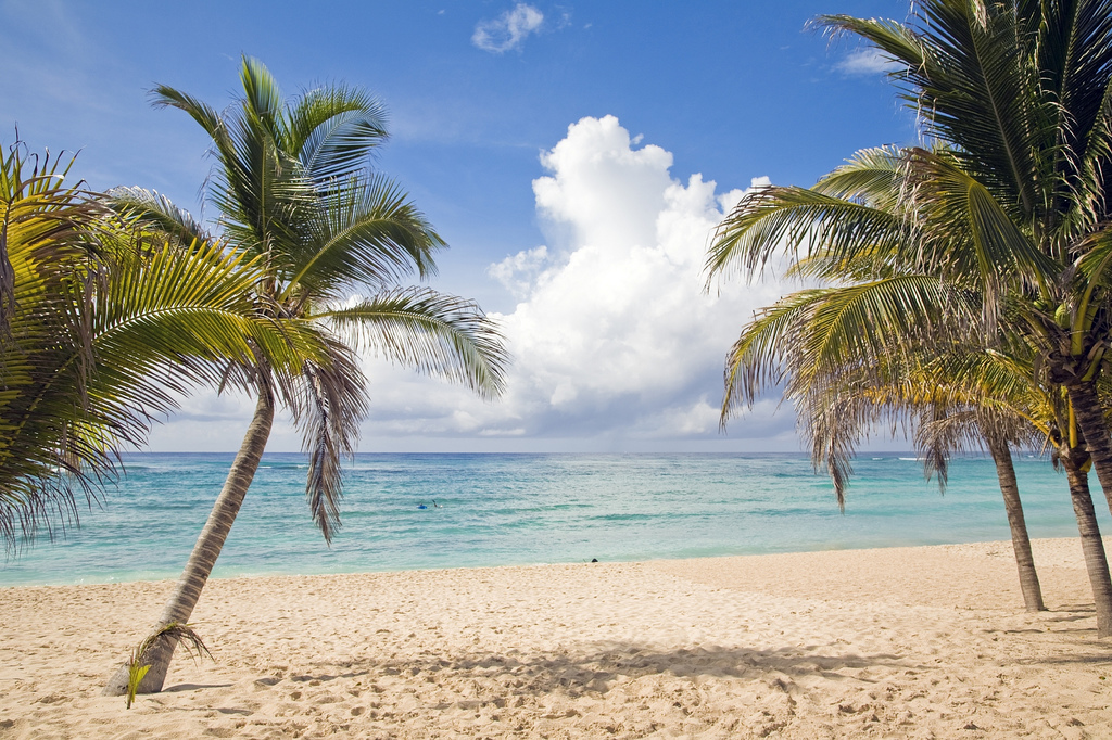 Playa del Carmen, Quintana Roo, Messico (Foto da Flickr).