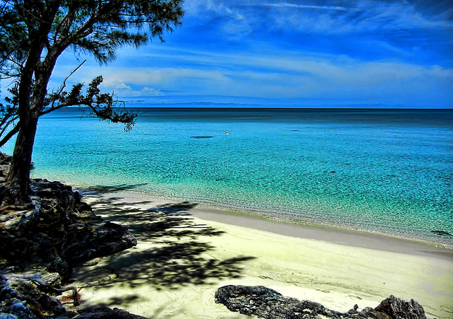 Spiaggia di Current sull'isola di Eleuthera, nelle Bahamas (Foto di Trish Hartmann).