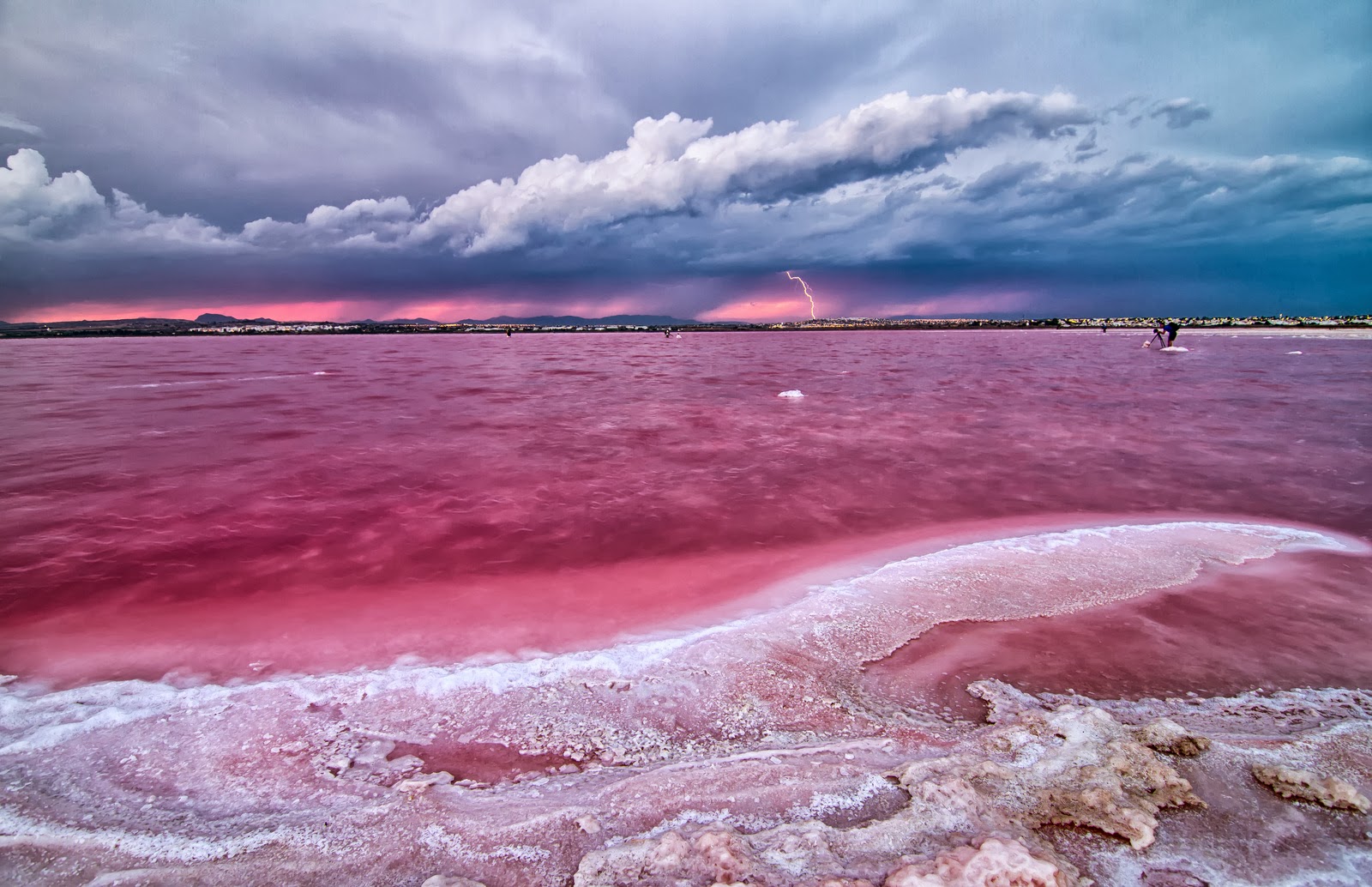 Salinas de Torrevieja, Spagna
