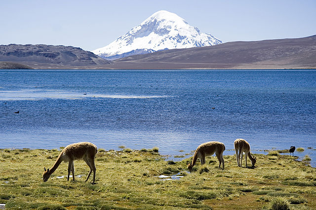 Lago Chungara e Vulcano Sajama nel Parco nazionale Lauca, Cile (Foto da Wikipedia).
