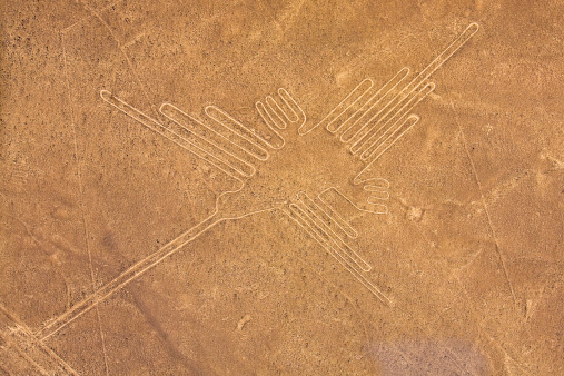 Il colibrì