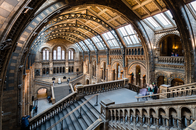Natural History Museum Londra