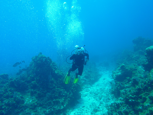 Immersione a Cayman Brac – Foto di The Squirrelfish