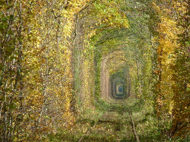 Tunnel of Love – Foto Wikipedia