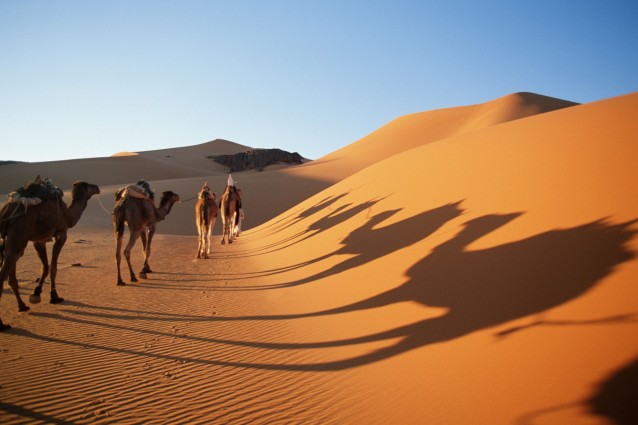 Deserto del Sahara, Algeria – Foto Wikimedia Commons