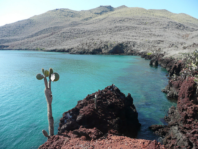 Isola Galapagos – Foto di Randal Sheppard