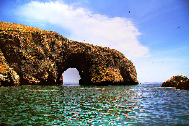 Isole Ballestas – Foto di Chimi Foto