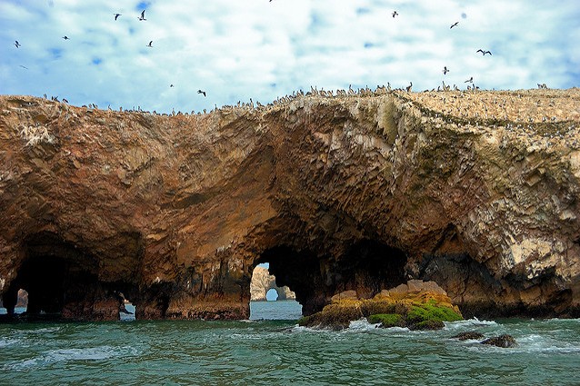 Isole Ballestas – Foto di Martin Garcia