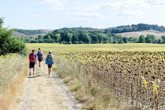 In cammino sulla Via Francigena in Toscana – Foto: Wikimedia Commons