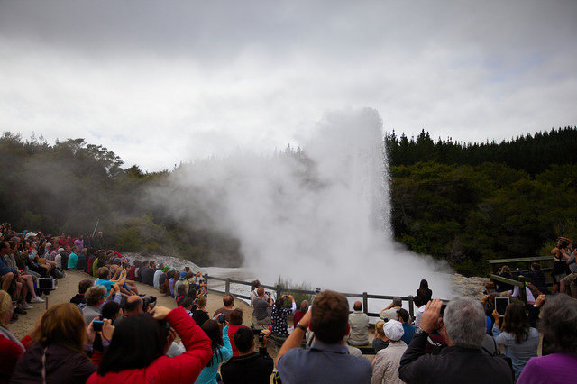 Lady Knox Geyser – Credits: Dave Smith