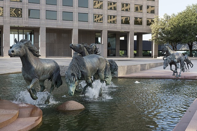 Mustangs, Texas – Foto Pixabay
