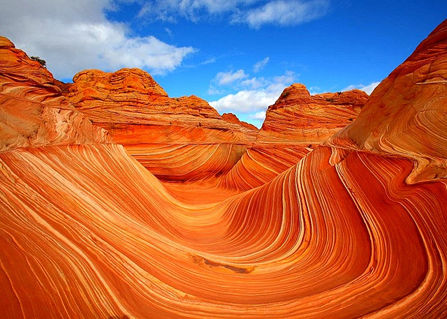 The Wave – Credits: Nalan Aeon