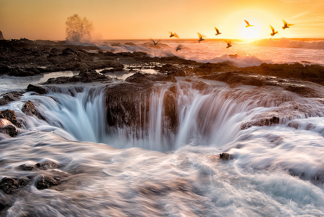 Thor's Well – Credits: Bill Young