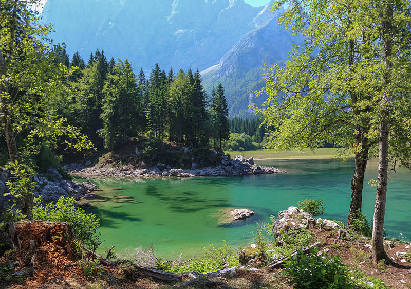 Laghi di Fusine. Foto da Wikipedia