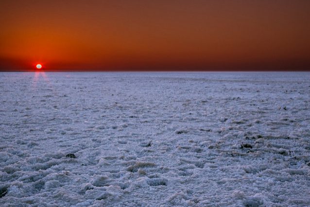 Alba sul Rann di Kutch – Foto dpbirds