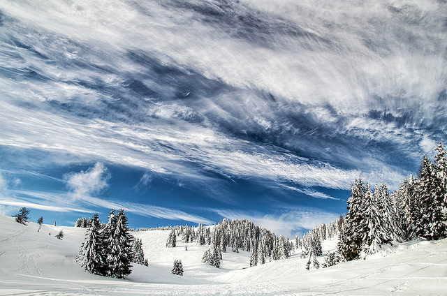 Flickr