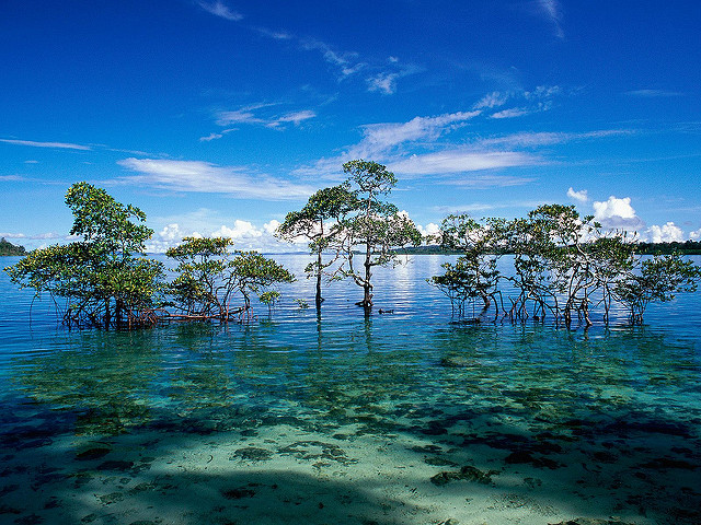 Isola di Havelock – Foto di Codex41