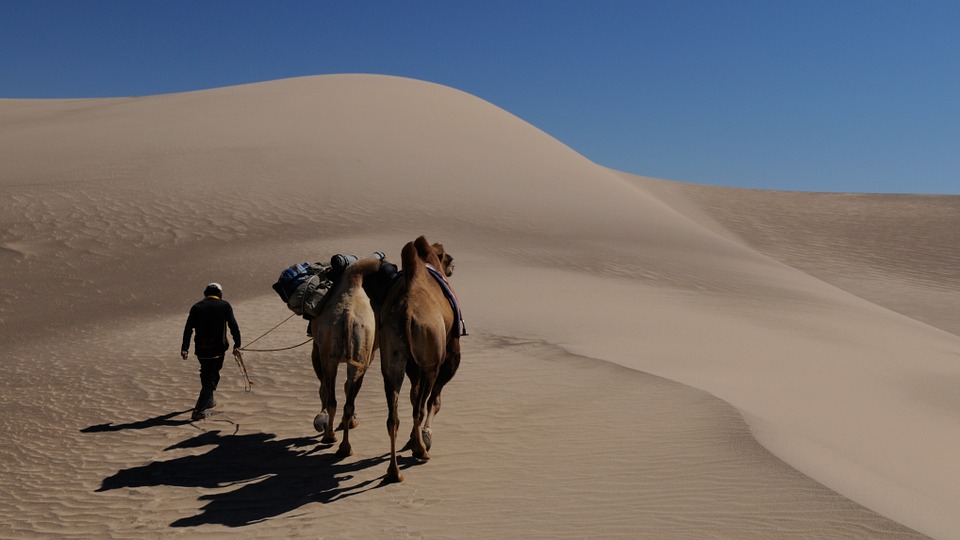 Deserto del Gobi. Foto da Pixabay